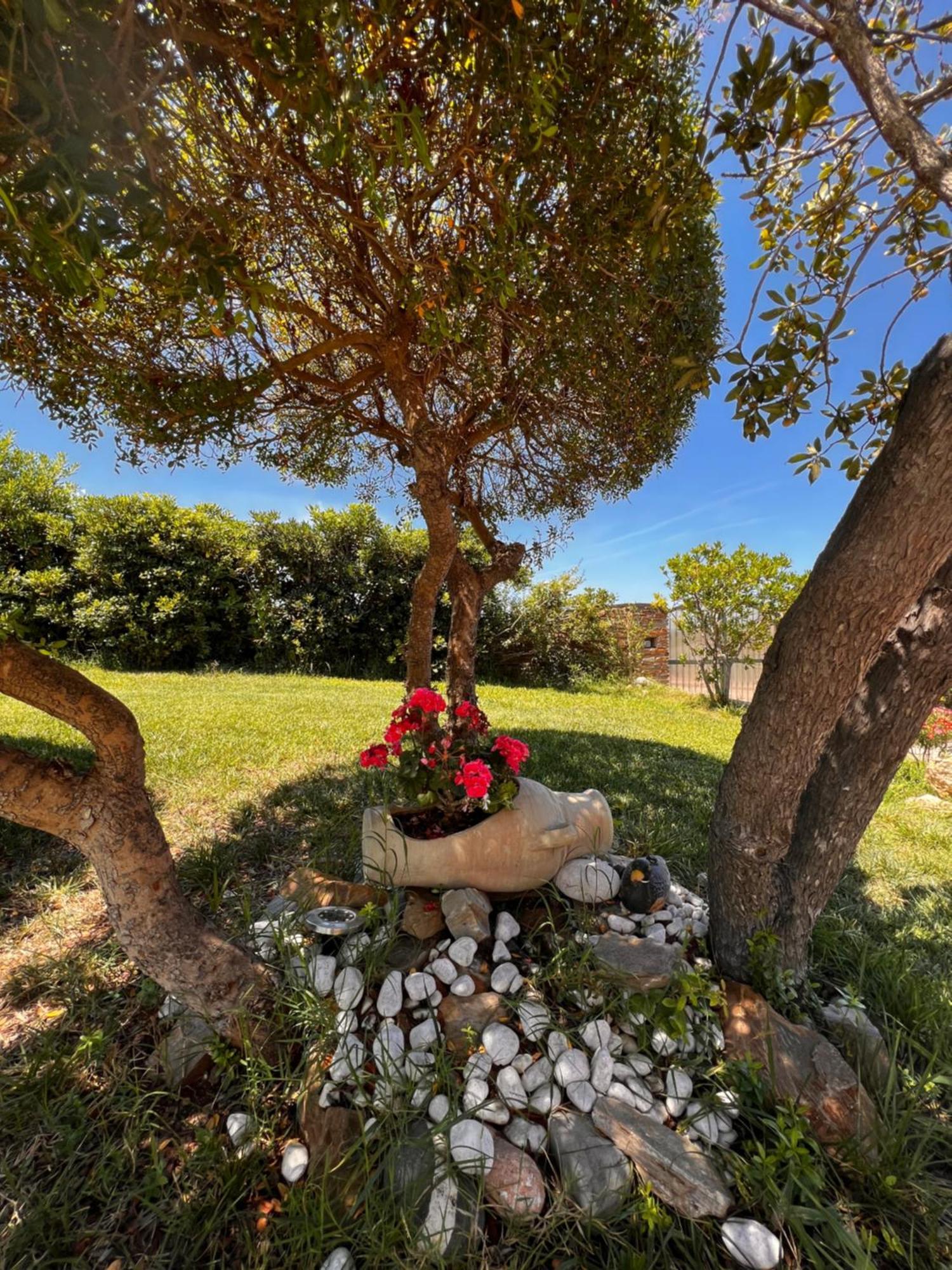 Villa Patrizia Stintino Extérieur photo
